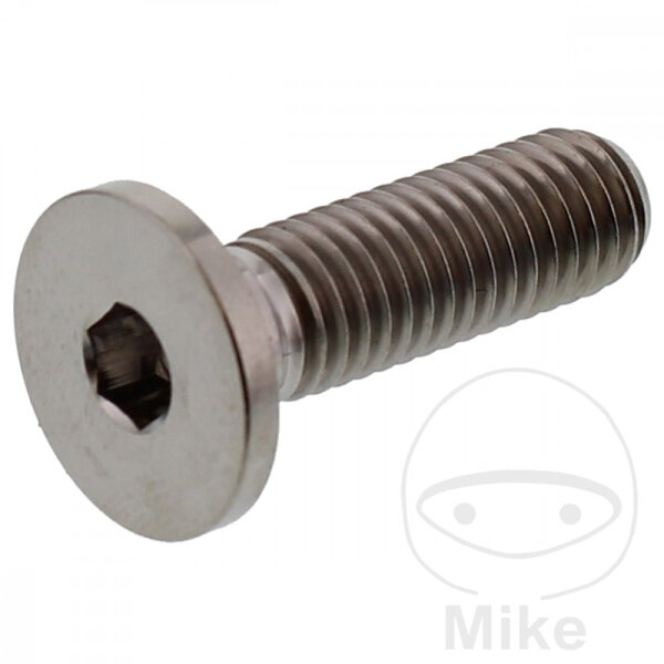 Tornillo M8x1,25x26 para BMW F 750 800 850 K 1300 1600 R 1200 1250 S 1000