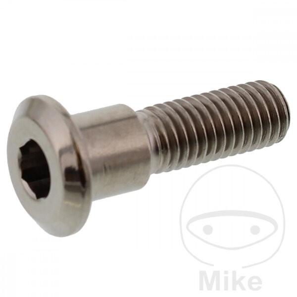 Tornillo M8x1,25x30 para Triumph 600 660 675 750 765 800 865 900 955 1050 1200 1215 1600 1700 2300