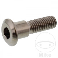 Schraube M8x1,25x30 f&uuml;r Triumph 600 660 675 750 765...