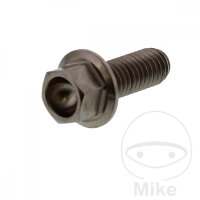 Schraube M6x1x16 f&uuml;r KTM 125 200 250 300 350 360 380...