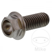 Schraube M8x1,25x20 f&uuml;r Aprilia BMW Ducati Moto Guzzi