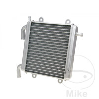 Wasserk&uuml;hler f&uuml;r MBK YQ 50 1997-2006 Yamaha YQ...