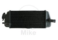 Wasserk&uuml;hler f&uuml;r Beta RR 50 2003-2019