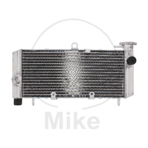 Refrigeratore dacqua per Honda CB 600 F 1998-2002 CB 600 S F2 2000-2003