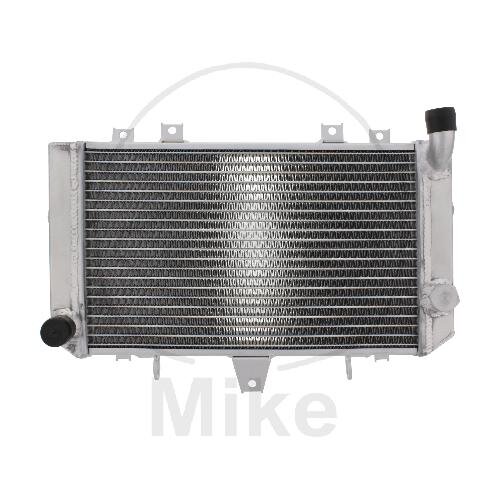 Refroidisseur deau pour Kawasaki ZRX 1100 1997-2000 ZRX 1200 2001-2006