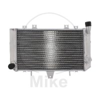 Enfriador de agua para Kawasaki ZRX 1100 1997-2000 ZRX...