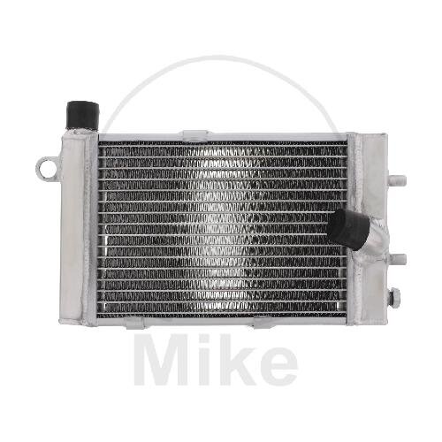 Water cooler for Aprilia RST 1000 RSV 1000 SL 1000 Tuono 1000