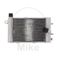Enfriador de agua para Aprilia RST 1000 RSV 1000 SL 1000...