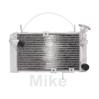 Wasserk&uuml;hler f&uuml;r Suzuki SV 650 1999-2002