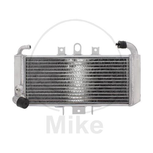 Refroidisseur deau pour Yamaha FZS 600 Fazer 1998-2003