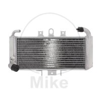Refroidisseur deau pour Yamaha FZS 600 Fazer 1998-2003