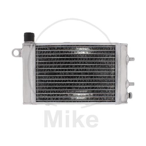 Refroidisseur deau pour Aprilia RST 1000 RSV 1000 SL 1000 Tuono 1000