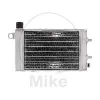 Enfriador de agua para Aprilia RST 1000 RSV 1000 SL 1000...