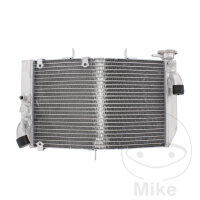 Enfriador de agua para Honda CBR 600 2001-2004