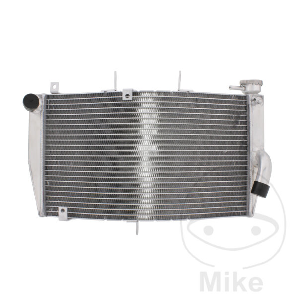 Refrigeratore dacqua per Honda CBR 600 RR 2003-2006