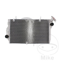 Enfriador de agua para Honda CBR 1100 XX Super Blackbird...