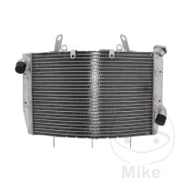 Enfriador de agua para Yamaha YZF-R6 600 2006-2007