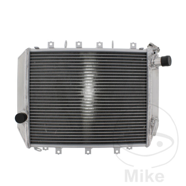 Refrigeratore dacqua per Kawasaki ZX-12R 1200 B Ninja 2002-2006