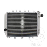Enfriador de agua para Kawasaki ZX-12R 1200 B Ninja...