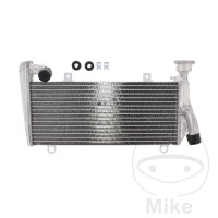 Enfriador de agua para Ducati Panigale 899 959 1199 1299