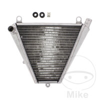 Wasserk&uuml;hler f&uuml;r Ducati Panigale 899 959 1199 1299