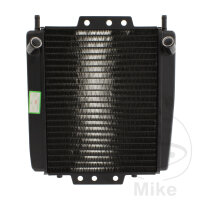 Refroidisseur deau Original pour Piaggio MP3 350 2018 #...