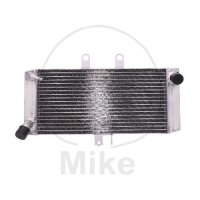 Enfriador de agua para Suzuki GSF 650 Bandit 2007-2016