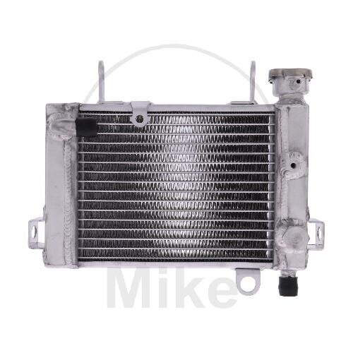 Refroidisseur deau pour Honda CBR 125 2004-2010