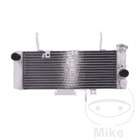 Refroidisseur deau pour Suzuki SV 650 2003-2004