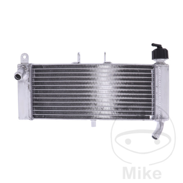 Refroidisseur deau pour Aprilia RS 125 RS4 50 125 Tuono 125 Derbi GPR 50