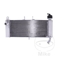 Enfriador de agua para Aprilia RS 125 RS4 50 125 Tuono...