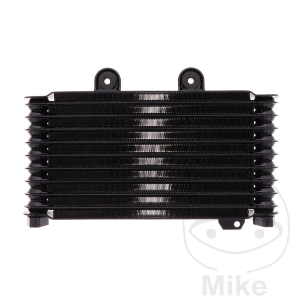 Radiatore olio JMP per Suzuki Bandit GSF 600 1995-2004 # GSF 650 2005-2006  