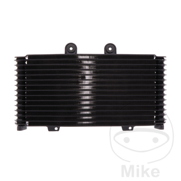Radiatore olio JMP per Suzuki GSF 1200 Bandit N S # 2001-2006