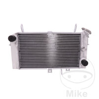 Water cooler for Suzuki SFV 650 Gladius 2009-2016
