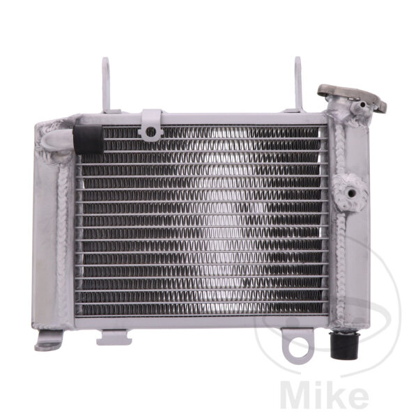 Refrigeratore dacqua per Honda CBR 125 2011-2019