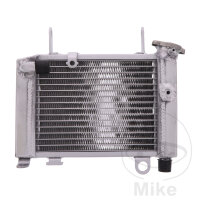 Enfriador de agua para Honda CBR 125 2011-2019