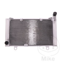Enfriador de agua para Honda CBF 1000 2006-2012