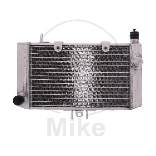 Refrigeratore dacqua per Honda CB 500 1994-2003