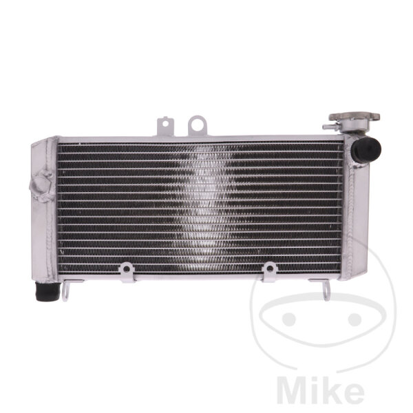 Refroidisseur deau pour Honda CBF 600 S SA 2004-2007