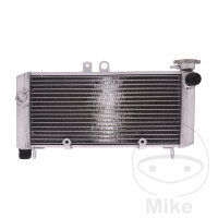 Enfriador de agua para Honda CBF 600 S SA 2004-2007