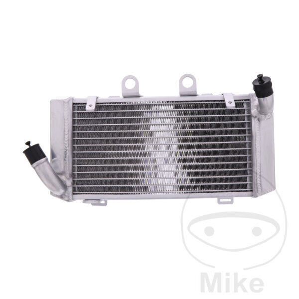 Refroidisseur deau pour Honda XL 1000 1999-2006
