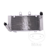 Refroidisseur deau pour Honda XL 1000 1999-2006