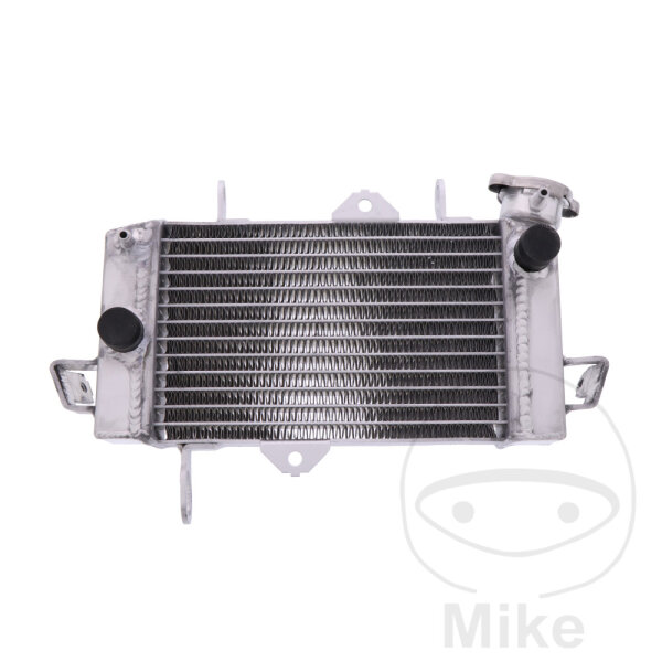 Refroidisseur deau pour Yamaha YZF-R 125 2008-2011