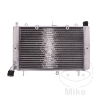 Refroidisseur deau pour Yamaha FZS 1000 2001-2005