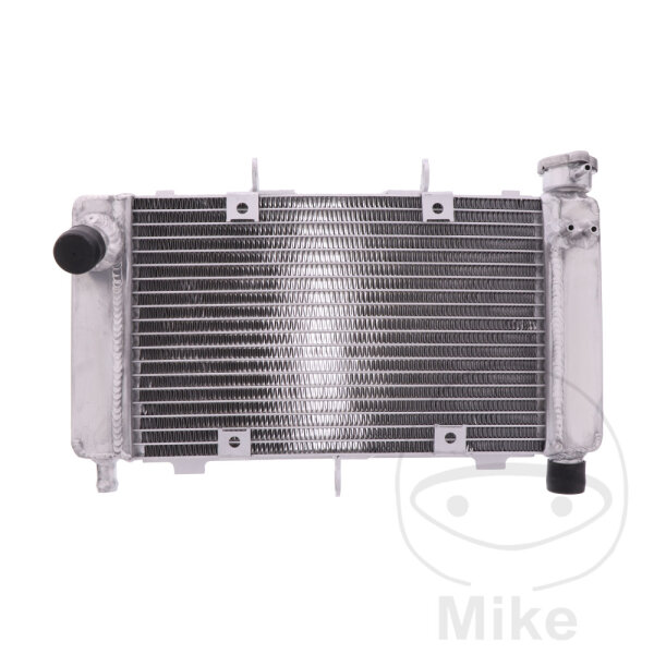 Refrigeratore dacqua per Yamaha FZ6 600 2004-2006