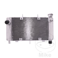 Refroidisseur deau pour Yamaha FZ6 600 2004-2006