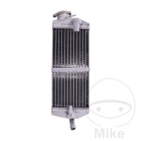 Wasserk&uuml;hler f&uuml;r Beta RR 350 390 400 430 450...
