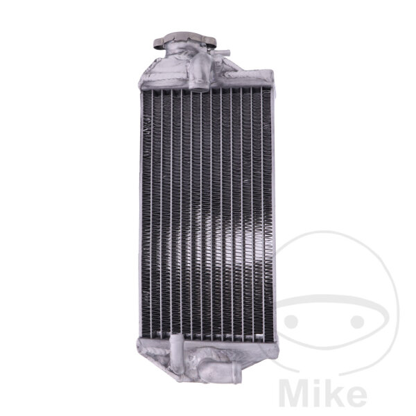 Refrigeratore dacqua per Beta RR 125 LC 2018-2019 RR 200 LC 2019
