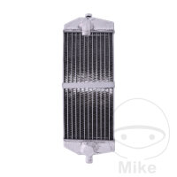 Wasserk&uuml;hler f&uuml;r Beta RR 350 390 400 430 450...