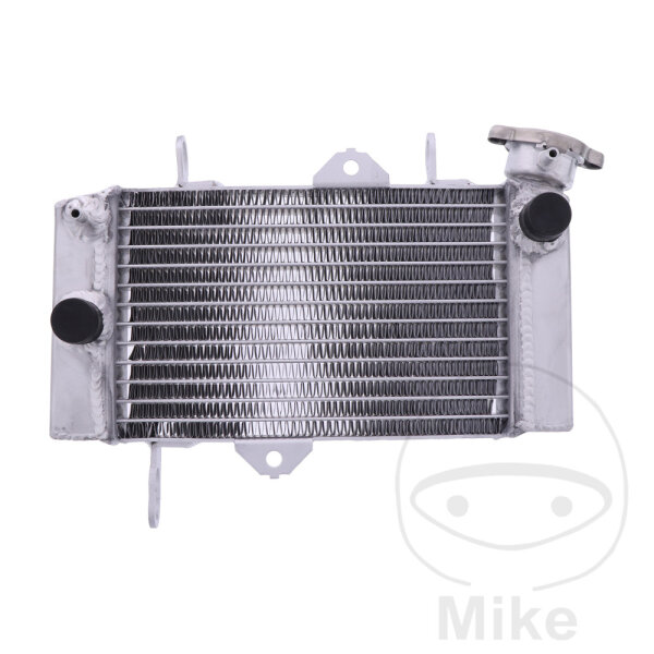Refrigeratore dacqua per Yamaha MT 125 2014-2020